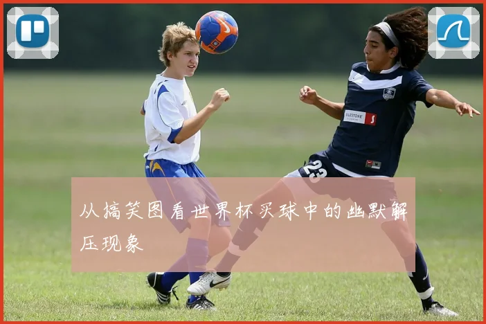 从搞笑图看世界杯买球中的幽默解压现象